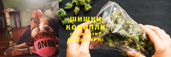 мдпв Бородино