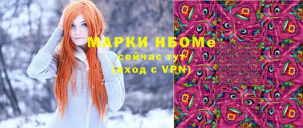 мдпв Бородино