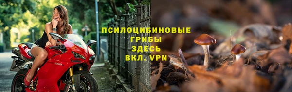 ECSTASY Бугульма