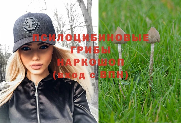 МДМА Пролетарск