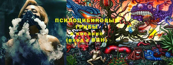 мдпв Бородино