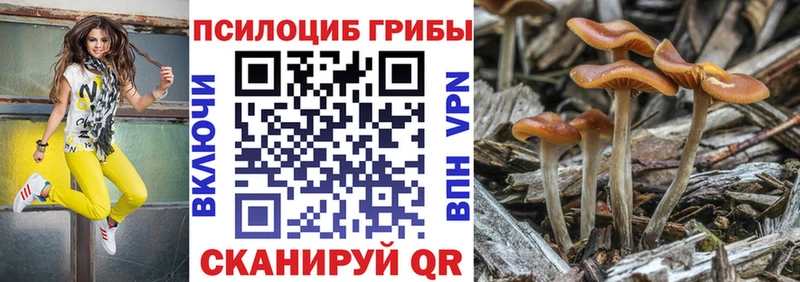 Псилоцибиновые грибы мухоморы Карачев