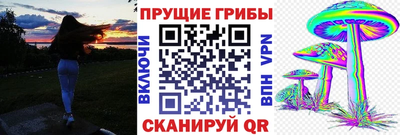 Галлюциногенные грибы прущие грибы  ссылка на мегу онион  Карачев  цена  